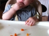 max9-5-11-007