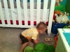 max9-5-11-017