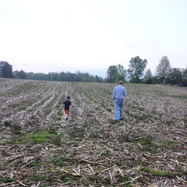 Field of Dreams or Fields of Dream