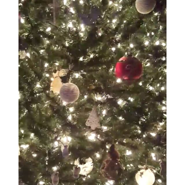 Ohio Christmas Tree