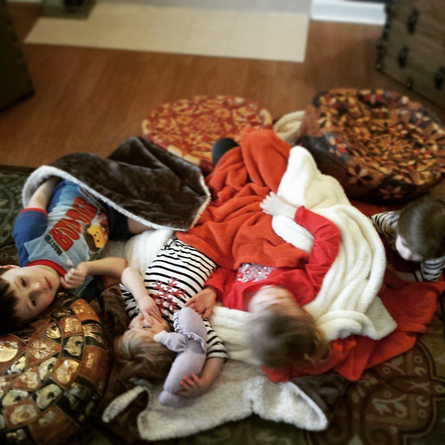 Birds in the nest