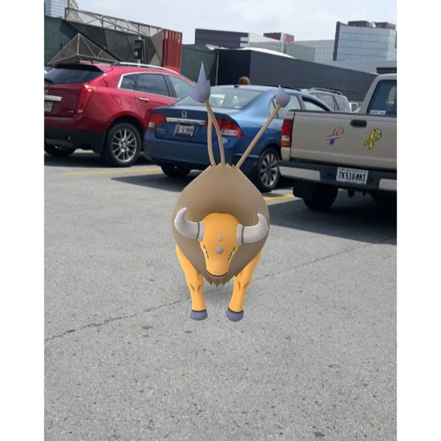 A Tauros in the parking lot @ The Fashion Mall? Kinda risky catching this one...