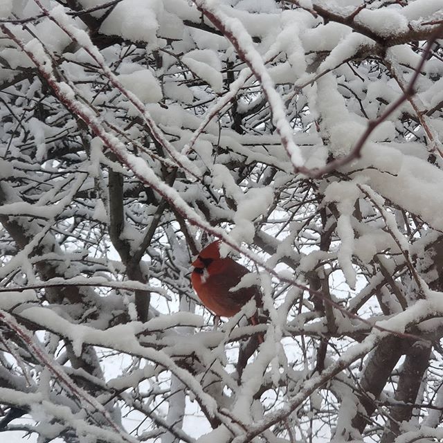 Hang in there, it's almost Spring!!
